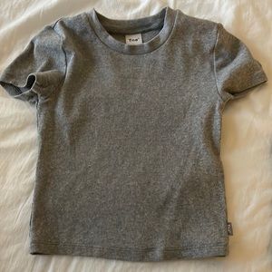 ARITZIA gray t shirt